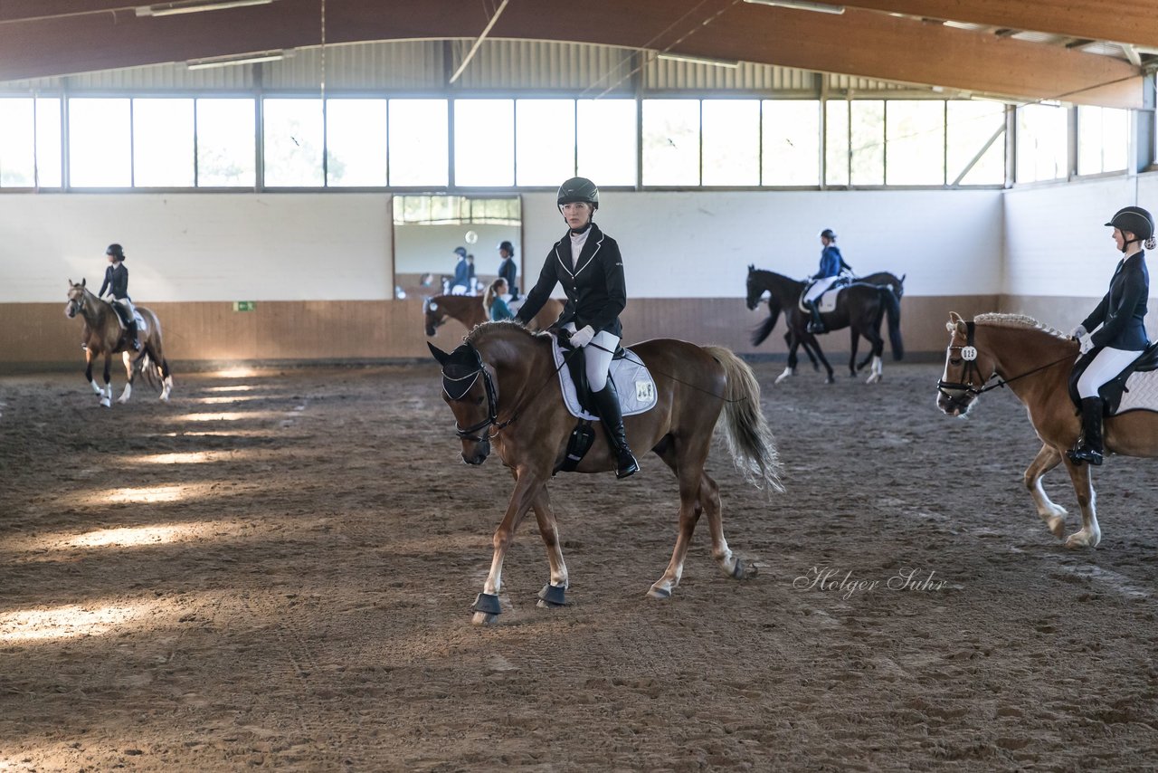 Bild 4 - Pony Akademie Turnier